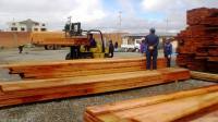 Sector forestal cerró 2019 con una balanza comercial positiva
