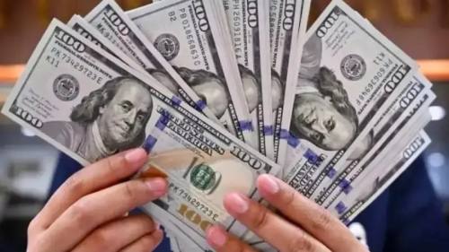 ¿En cuánto se cotiza el dólar paralelo este viernes 14 de noviembre en Bolivia?