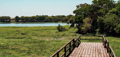 Reforestar para proteger: ampliarán el perímetro arbóreo del Parque Laguna Guapilo