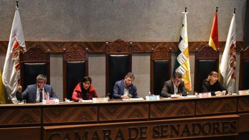Senado sanciona Ley de Alivio Tributario y la envía a promulgación