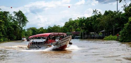 BID lanza la primera garantía de un banco multilateral para la restauración forestal en la Amazonía