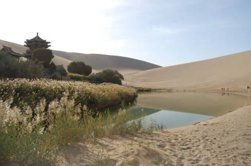 África y China impulsan las Grandes Murallas Verdes como corredores continentales de vida silvestre