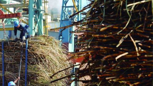 Santa Cruz mira al futuro: ¿hasta dónde puede crecer su economía?