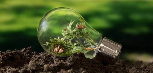 Día de la Tierra 2025: el desafío es impulsar el uso de energías renovables en las ciudades