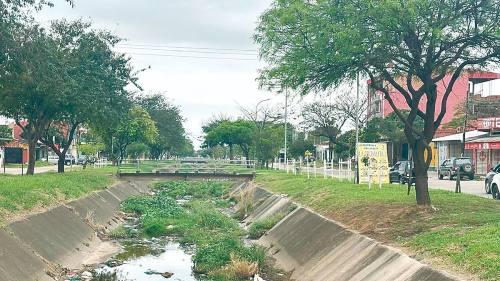 Maleza, basura y sedimento reducen a la mitad la capacidad de los canales de drenaje