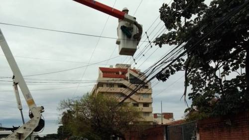 CRE atiende más de mil emergencias eléctricas por fuertes vientos