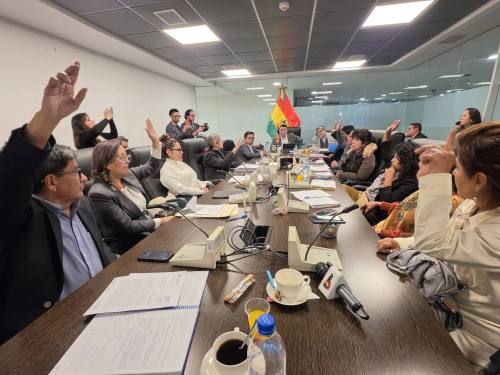 Comisión aprueba préstamo del FMI por $us 1.900 millones