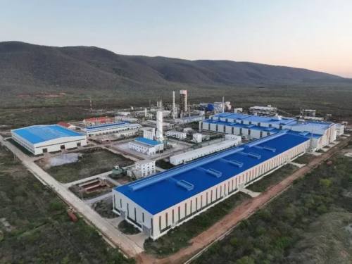 Hoy finaliza el plazo para entrega de planta del Mutún