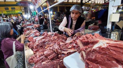  FMI proyecta inflación del 15,1% y crecimiento mínimo de 1,1% para Bolivia en 2025