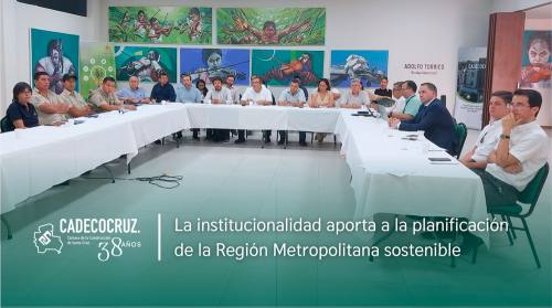 La institucionalidad aporta a la planificación de la Región Metropolitana sostenible