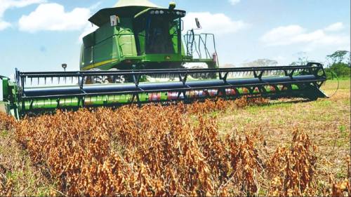 Rechazo al diésel de Bs 18 se extiende entre productores, transportistas y mineros