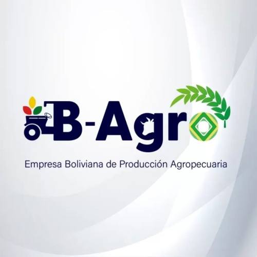 15 empresas públicas en quiebra técnica; acumulan pérdidas de Bs 3.637 millones