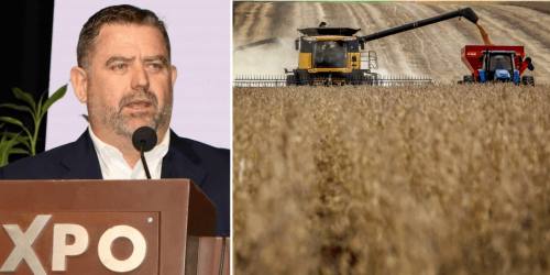 Con reglas claras y voluntad del Gobierno, el agro puede generar exportaciones que superen los $us 1