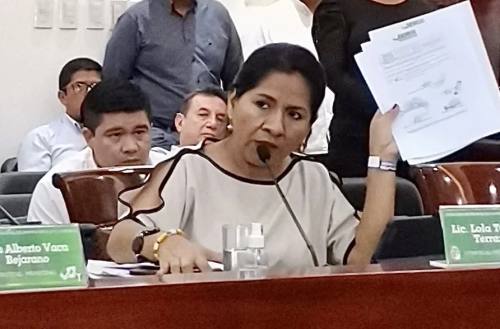 Terrazas: Obras paralizadas y avasallamientos desafían a la Comisión de Planificación