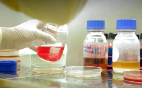 La industria farmacéutica se declara en emergencia por falta de dólares para importar materia prima